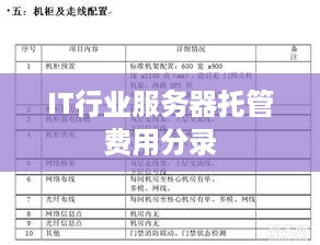 IT行业服务器托管费用分录