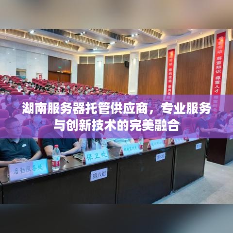 湖南服务器托管供应商，专业服务与创新技术的完美融合