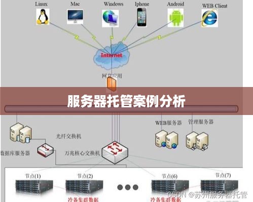 服务器托管案例分析