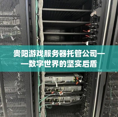 贵阳游戏服务器托管公司——数字世界的坚实后盾