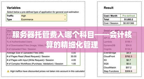 服务器托管费入哪个科目——会计核算的精细化管理