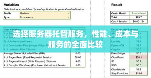 选择服务器托管服务，性能、成本与服务的全面比较