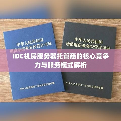 IDC机房服务器托管商的核心竞争力与服务模式解析