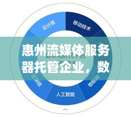 惠州流媒体服务器托管企业，数字时代的创新力量