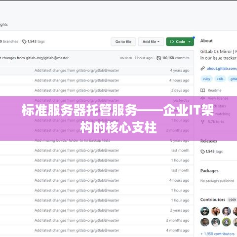 标准服务器托管服务——企业IT架构的核心支柱
