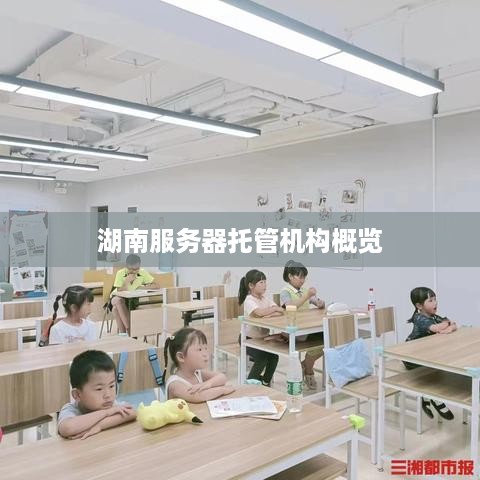 湖南服务器托管机构概览