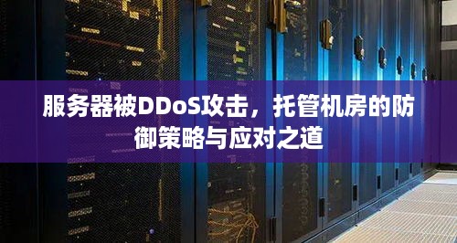 服务器被DDoS攻击，托管机房的防御策略与应对之道