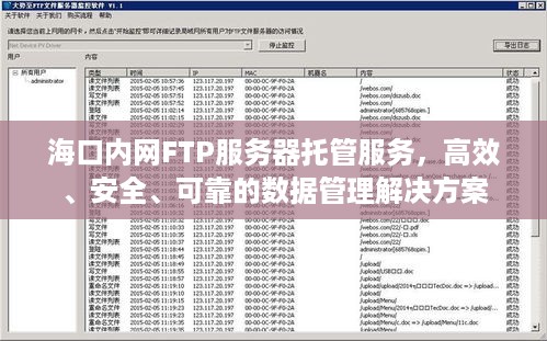 海口内网FTP服务器托管服务，高效、安全、可靠的数据管理解决方案