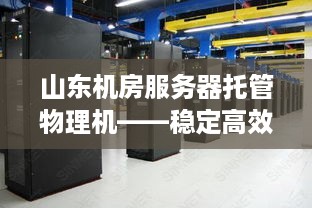 山东机房服务器托管物理机——稳定高效运营的基石