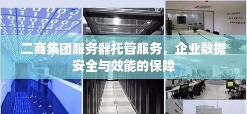 二商集团服务器托管服务，企业数据安全与效能的保障