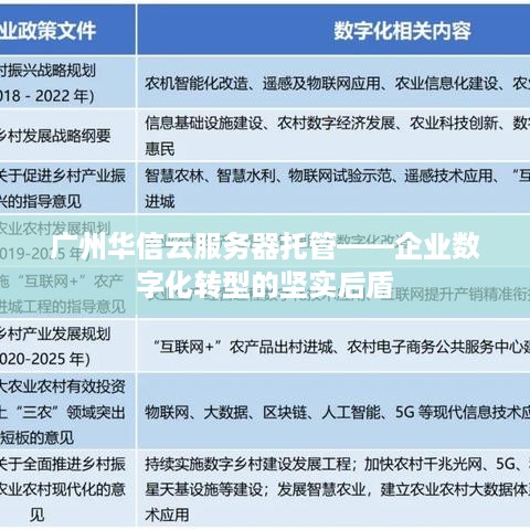 广州华信云服务器托管——企业数字化转型的坚实后盾