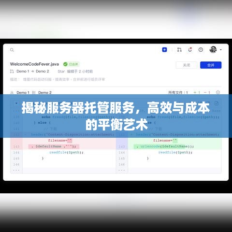 揭秘服务器托管服务，高效与成本的平衡艺术