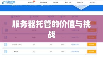 服务器托管的价值与挑战