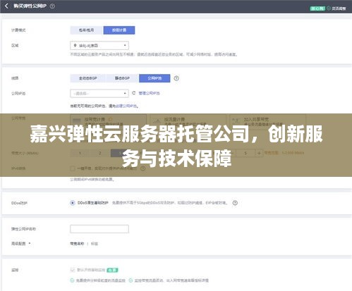 嘉兴弹性云服务器托管公司，创新服务与技术保障