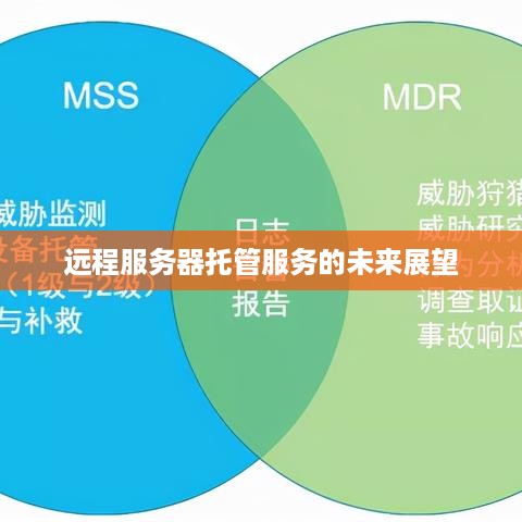 远程服务器托管服务的未来展望