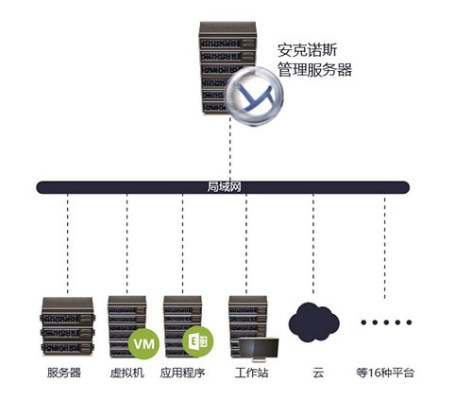 城域网服务器托管服务，企业IT架构的稳固后盾