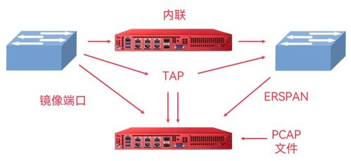 山东服务器托管平台官网，企业IT基础设施的坚实后盾