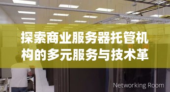 探索商业服务器托管机构的多元服务与技术革新