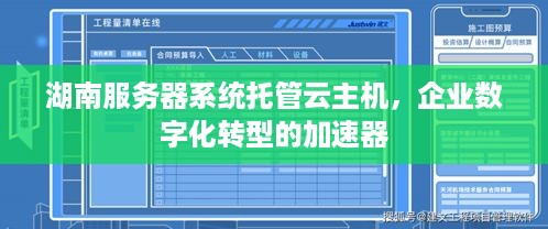 湖南服务器系统托管云主机，企业数字化转型的加速器