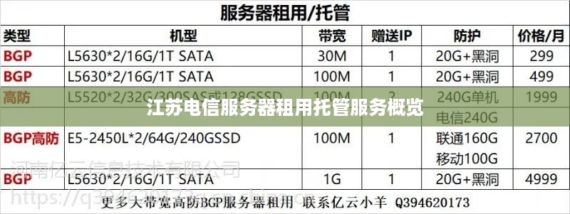 江苏电信服务器租用托管服务概览