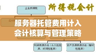 服务器托管费用计入会计核算与管理策略探讨