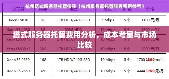 塔式服务器托管费用分析，成本考量与市场比较