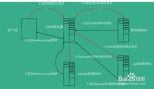 选择可靠的DNS服务器托管服务的重要性