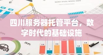 四川服务器托管平台，数字时代的基础设施