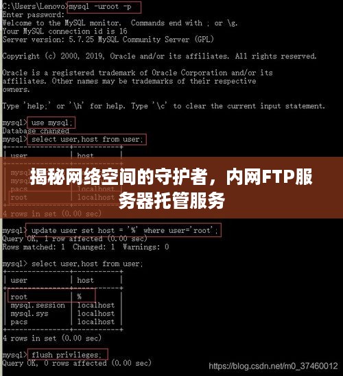 揭秘网络空间的守护者，内网FTP服务器托管服务