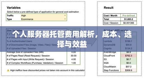 个人服务器托管费用解析，成本、选择与效益