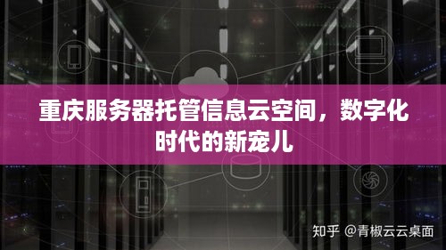 重庆服务器托管信息云空间，数字化时代的新宠儿