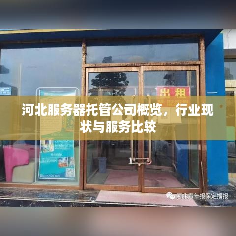 河北服务器托管公司概览，行业现状与服务比较