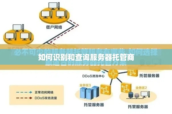 如何识别和查询服务器托管商