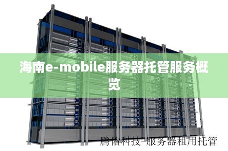 海南e-mobile服务器托管服务概览