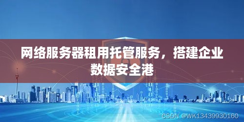 网络服务器租用托管服务，搭建企业数据安全港