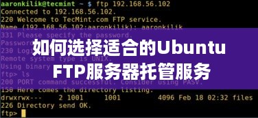 如何选择适合的Ubuntu FTP服务器托管服务