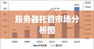 服务器托管市场分析图