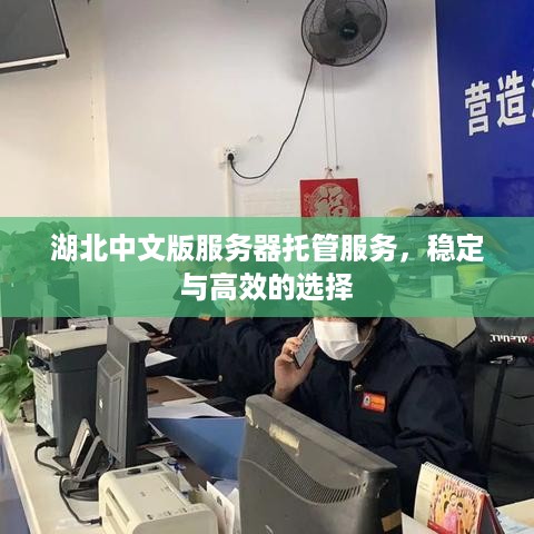 湖北中文版服务器托管服务，稳定与高效的选择