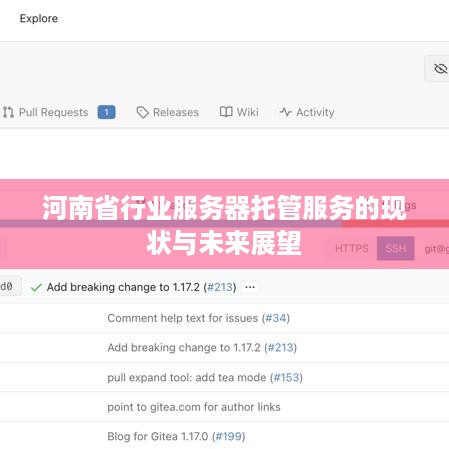 河南省行业服务器托管服务的现状与未来展望