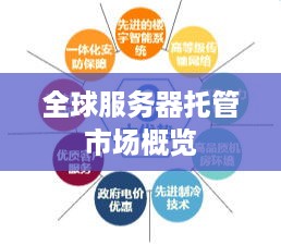 全球服务器托管市场概览