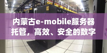 内蒙古e-mobile服务器托管，高效、安全的数字基础设施