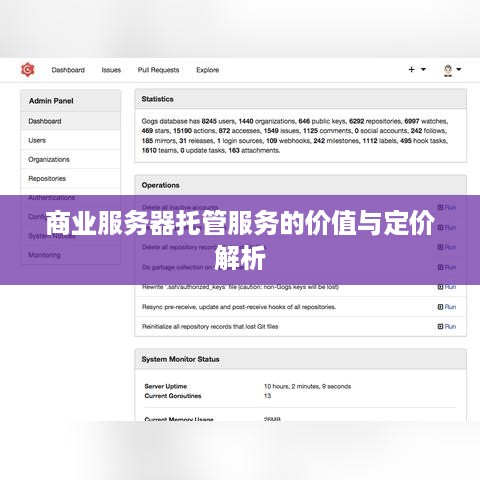 商业服务器托管服务的价值与定价解析