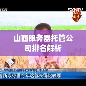 山西服务器托管公司排名解析