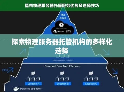探索物理服务器托管机构的多样化选择