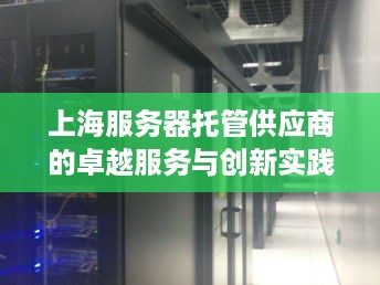 上海服务器托管供应商的卓越服务与创新实践