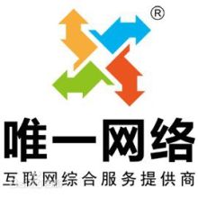 山东服务器托管租用竞网——企业成长的加速器