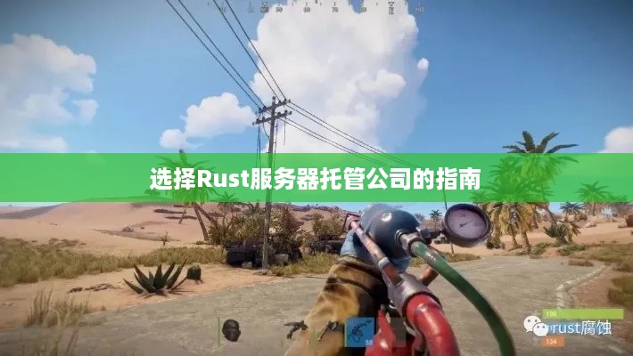 选择Rust服务器托管公司的指南