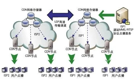 服务器托管与CDN，企业数字化转型的加速器