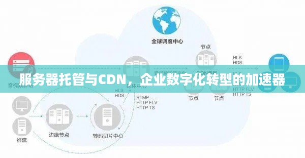 服务器托管与CDN，企业数字化转型的加速器