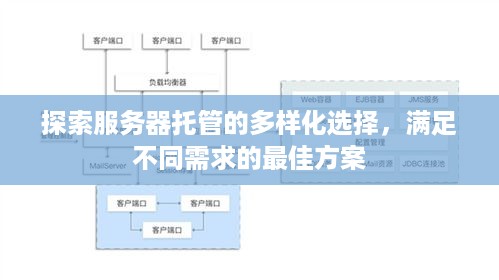 探索服务器托管的多样化选择，满足不同需求的最佳方案